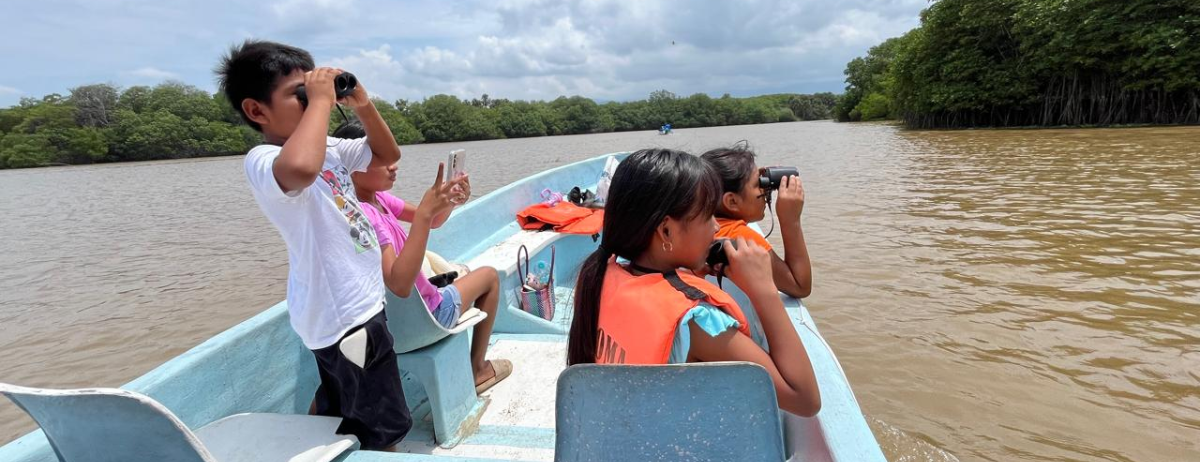 Educar para pensar, no solo para actuar: otra mirada de la educación ambiental