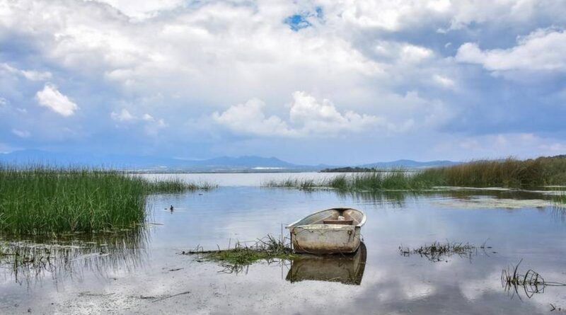 Tlaxcala – Presas en Tlaxcala tienen suficiente agua para este 2026 (abc Noticas de Tlaxcala)