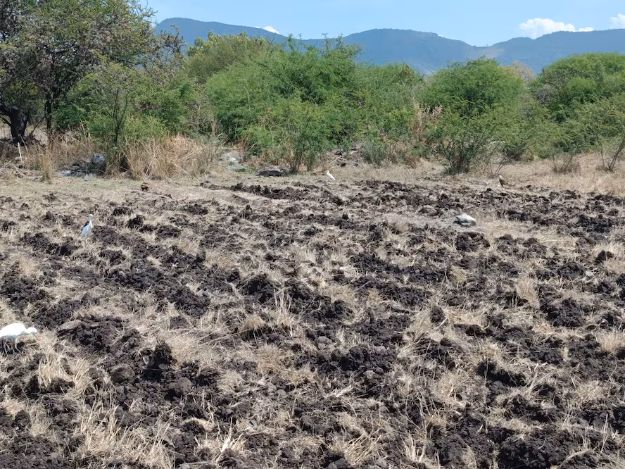 Hidalgo – Productores de Alfajayucan deberán registrarse en Conagua para programa de nivelación de terrenos (El Universal Hidalgo)