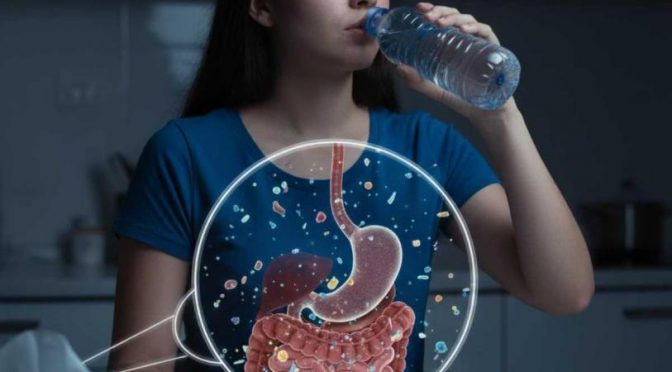 Mundo-Al beber agua embotellada a diario se ingieren 90,000 microplásticos en un año, según estudio (Excelsior)