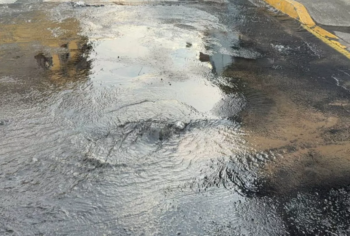 CDMX-Litros de agua se desperdician por fuga en avenida Insurgentes (adn Noticias)