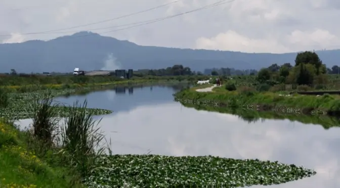 México-Gobierno federal activa estrategia contra plantas invasoras acuáticas (La Jornada)