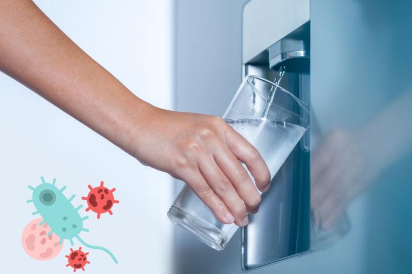 México–Dispensadores de agua pueden tener más bacterias que agua de grifo (Excélsior)