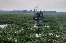 Jalisco–Jalisco limpia sus cuerpos de agua para prevenir riesgos en el temporal (El Occidental)