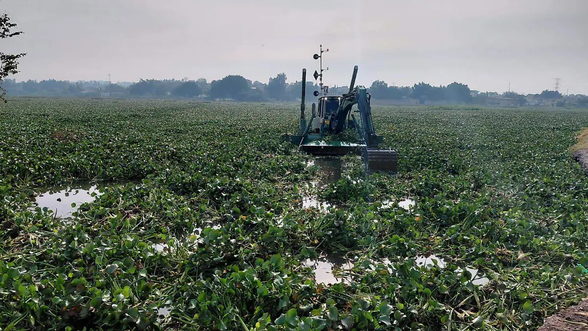 Jalisco–Jalisco limpia sus cuerpos de agua para prevenir riesgos en el temporal (El Occidental)