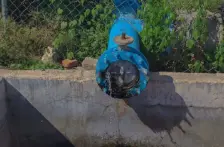 CDMX – Ejidatarios denuncian huachicoleo de agua (El Sol de San Juan del Río)