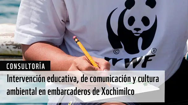 Consultoría: Intervención educativa, de comunicación y cultura ambiental en embarcaderos de Xochimilco (WWF México)