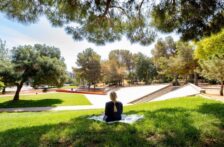 Internacional-Así funcionan los refugios climáticos que protegen a personas y fauna del cambio climático (El Periódico Verde)