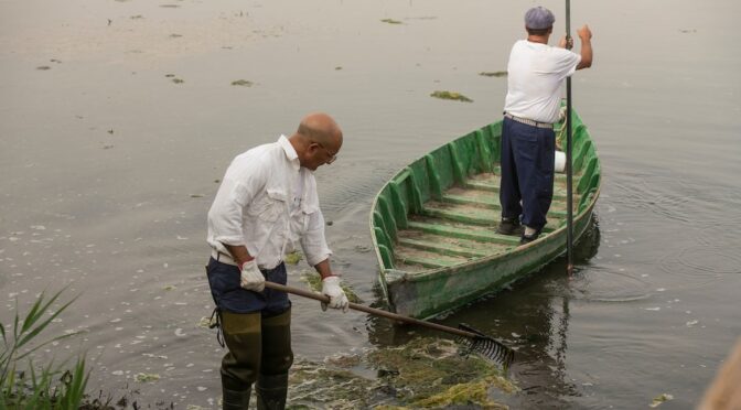 Internacional-Humedales y conocimientos tradicionales: patrimonio vivo para la gestión del agua en el siglo XXI (iAgua)