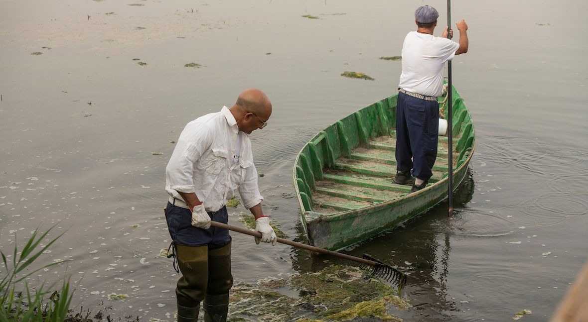 Internacional-Humedales y conocimientos tradicionales: patrimonio vivo para la gestión del agua en el siglo XXI (iAgua)