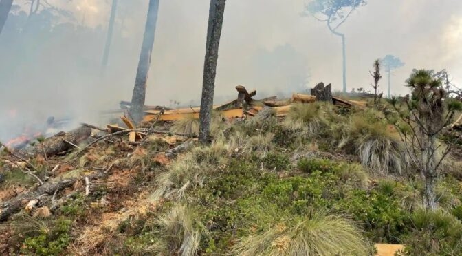 Veracruz – 2026 podría ubicarse entre los años más secos en Veracruz: CONAGUA (Meganoticias)