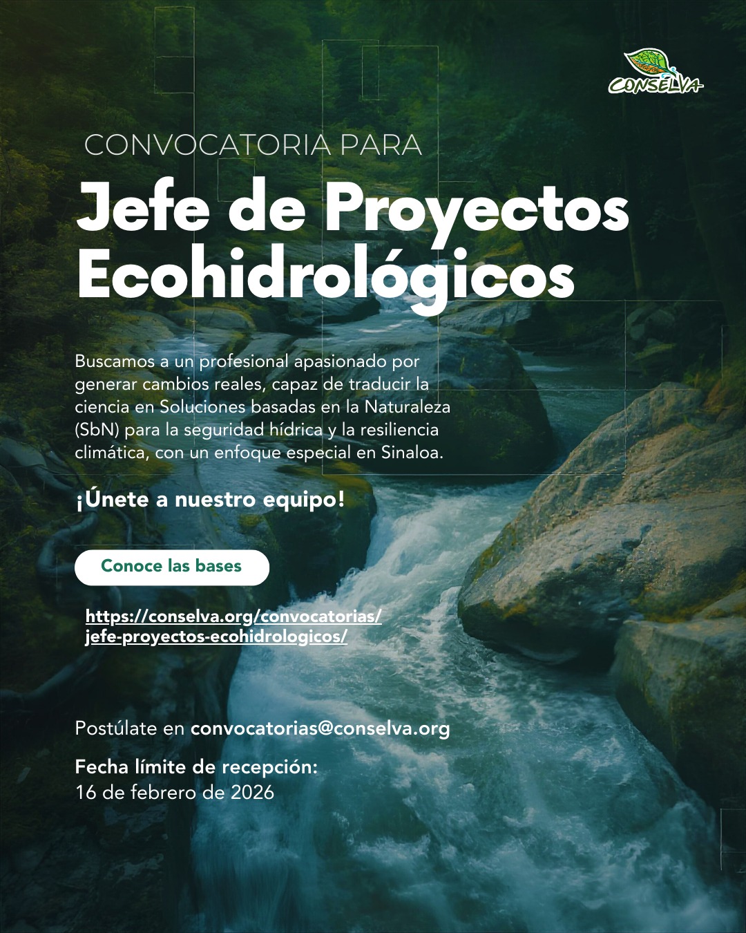 Vacante- CONVOCATORIA PARA JEFE DE PROYECTOS ECOHIDROLÓGICOS (Conselva Costas y Comunidades, A.C.)