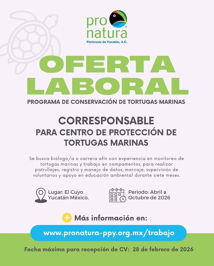 Vacante – Corresponsable para centro de protección de tortugas marinas (Pronatura)