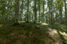 México–Bosque mesófilo, Ingeniero del Agua y Santuario de Biodiversidad (Megad Noticias)