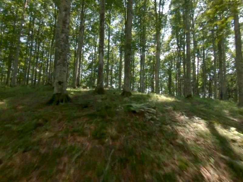 México–Bosque mesófilo, Ingeniero del Agua y Santuario de Biodiversidad (Megad Noticias)