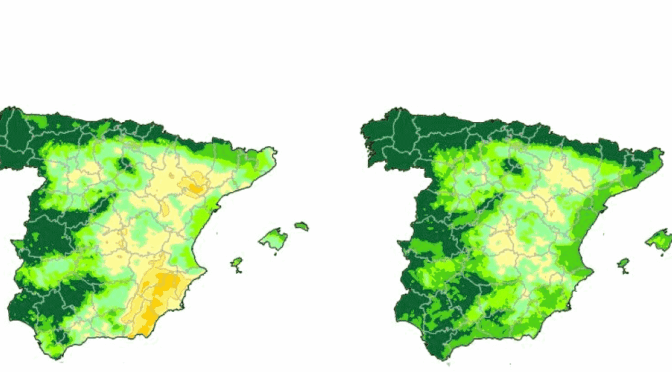Mundo – Cuando el agua brota hasta de los enchufes: ¿por qué estas lluvias que inundan España son tan extraordinarias? (El País)