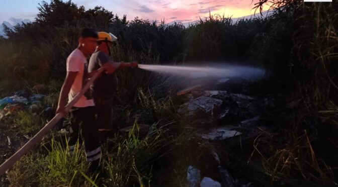 México-Inicia estiaje en Veracruz con disminución de niveles de agua (Megad Noticias)