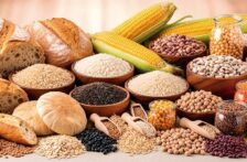 México–Estudian proteínas que mantienen vivas las semillas ante falta de agua (Gaceta UNAM)