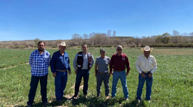 Zacatecas – Conagua fortalece la soberanía alimentaria en Zacatecas con la tecnificación de 257 hectáreas del Distrito de Riego 034 (La Jornada Zacatecas)