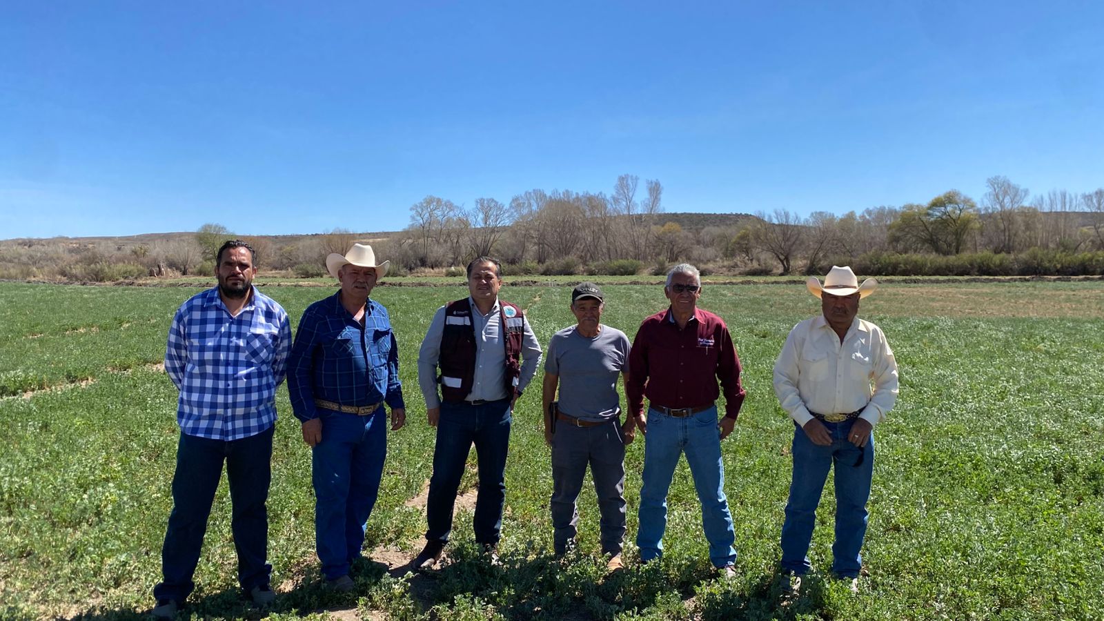 Zacatecas – Conagua fortalece la soberanía alimentaria en Zacatecas con la tecnificación de 257 hectáreas del Distrito de Riego 034 (La Jornada Zacatecas)