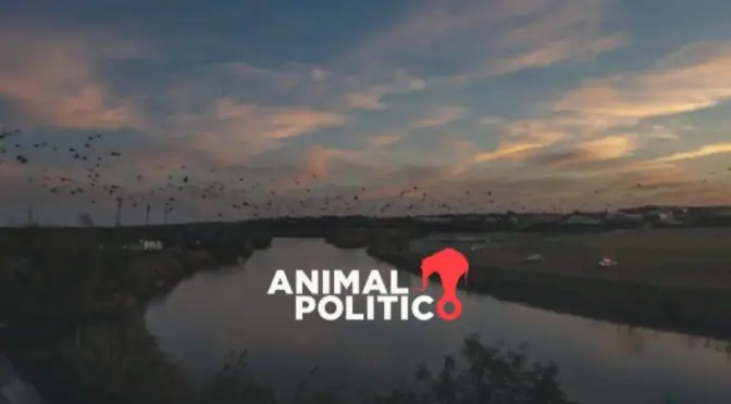 Internacional-México acuerda entregar agua a EU por Tratado de 1944 ante déficit en suministro; “es una victoria para ganaderos”, dice Rubio (Animal Político)