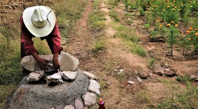 Aguascalientes–¿El campo realmente desperdicia agua? Autoridades aseguran que Aguascalientes ya tecnifica el riego y apuesta por el ahorro (El Sol del Centro)