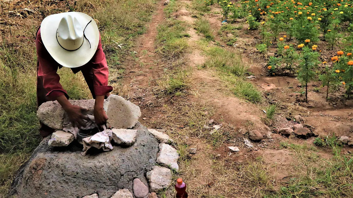 Aguascalientes–¿El campo realmente desperdicia agua? Autoridades aseguran que Aguascalientes ya tecnifica el riego y apuesta por el ahorro (El Sol del Centro)