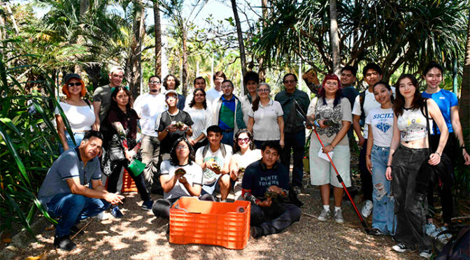 Veracruz – UV promueve cuidado de tortugas y calidad del agua en región Veracruz (Prensa UV)