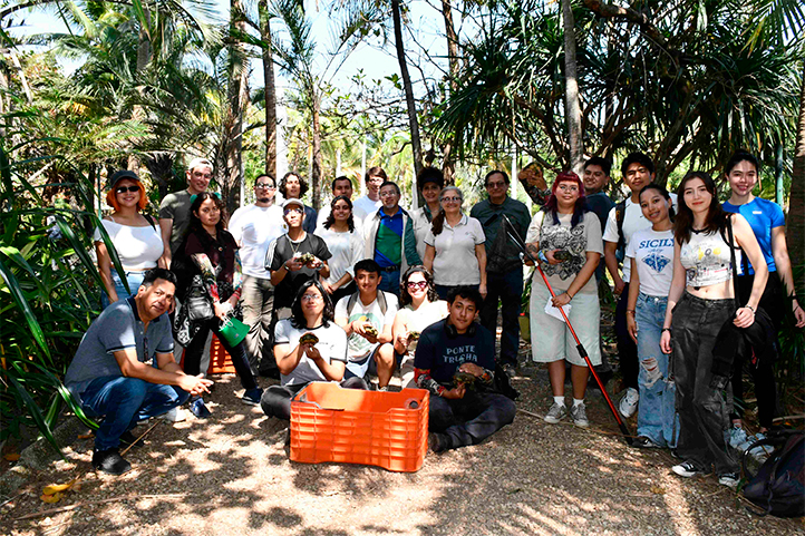 Veracruz – UV promueve cuidado de tortugas y calidad del agua en región Veracruz (Prensa UV)