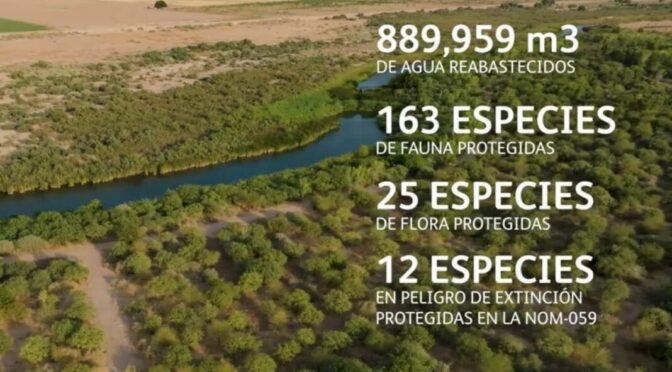 Mundo – Día Mundial del Agua: Acciones a implementar por las empresas para un futuro sustentable (ExpokNews)