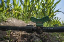 México-Gobierno de México llama a productoras y productores a regularizar concesiones de agua para acceder a programas federales (Gobierno de México)