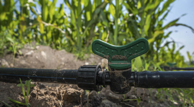 México-Gobierno de México llama a productoras y productores a regularizar concesiones de agua para acceder a programas federales (Gobierno de México)