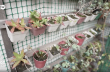 Internacional-Cómo devolver agua y vida a las ciudades (Eco Latinoamérica)