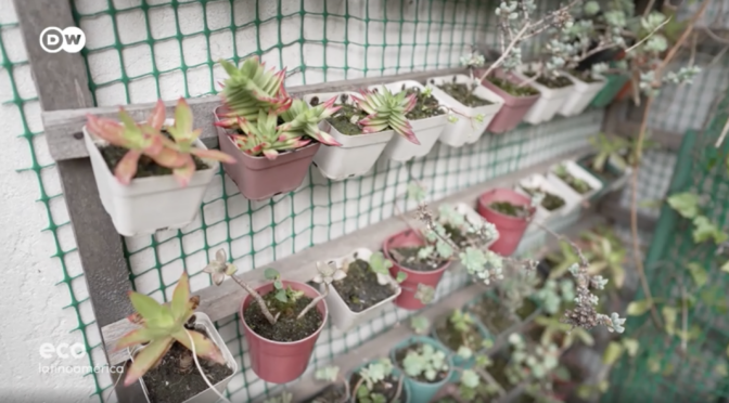 Internacional-Cómo devolver agua y vida a las ciudades (Eco Latinoamérica)