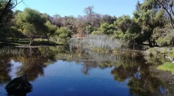Morelos – Bajo nivel de agua en la laguna de Hueyapan genera alerta ante próxima temporada de estiaje (El Sol de Cuernavaca)
