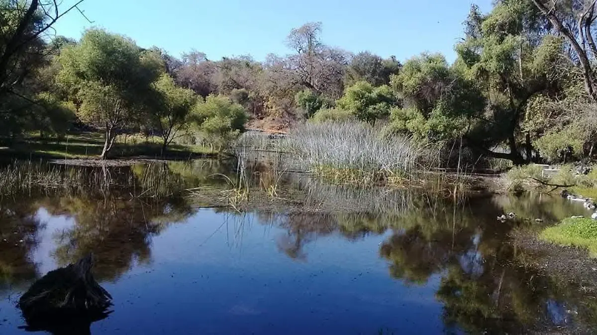 Morelos – Bajo nivel de agua en la laguna de Hueyapan genera alerta ante próxima temporada de estiaje (El Sol de Cuernavaca)