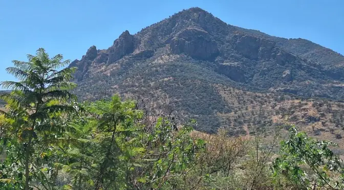 Guanajuato – Secretaría del Agua y Medio Ambiente llama a evitar incendios forestales en temporada calurosa en Cuerámaro (El Sol de Irapuato)