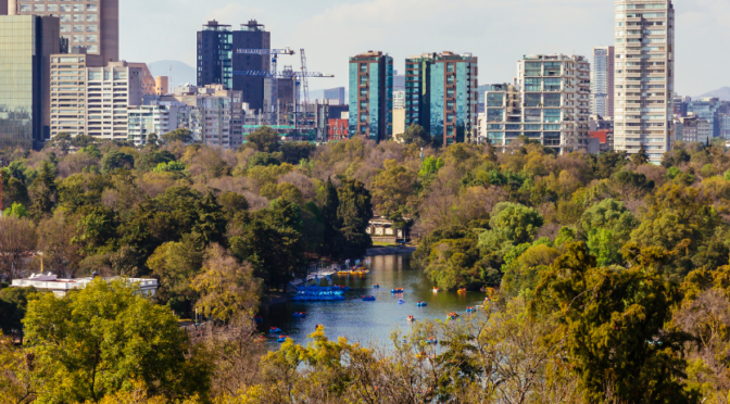¿Por qué los bosques urbanos son clave? Lecciones desde Chapultepec