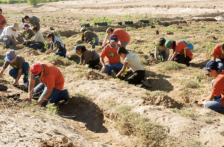 Baja California-Restauración del río Colorado arroja beneficios ambientales en norte de México (IPS)