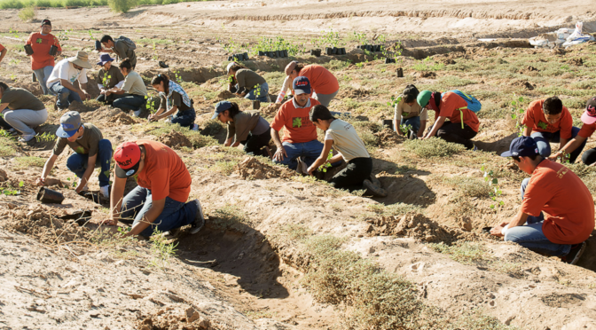 Baja California-Restauración del río Colorado arroja beneficios ambientales en norte de México (IPS)