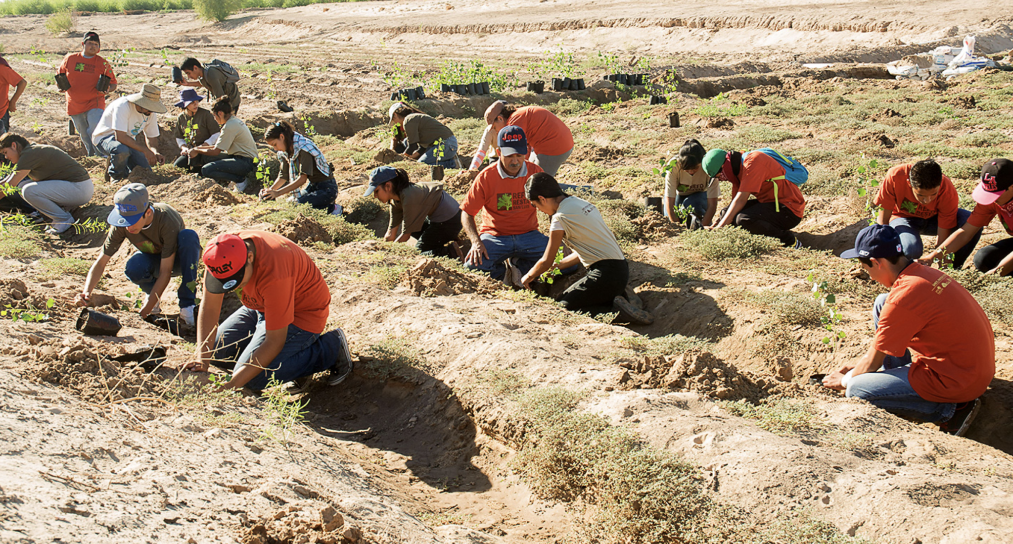 Baja California-Restauración del río Colorado arroja beneficios ambientales en norte de México (IPS)
