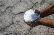 Mundo – Qué es la intrusión salina y qué efectos puede tener en la economía y nuestra salud (BBC)