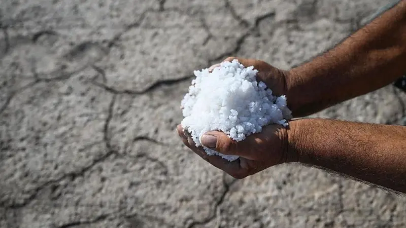 Mundo – Qué es la intrusión salina y qué efectos puede tener en la economía y nuestra salud (BBC)