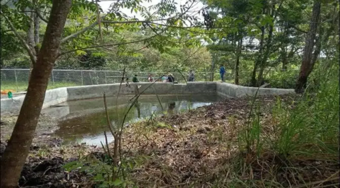 México–Chiapas avanza en infraestructura hidráulica; viviendas aún carecen de agua potable (El Heraldo de Chiapas)