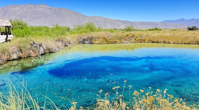 Cuahuila–Acuíferos de Cuatro Ciénegas en crisis por más de 200 concesiones (Info7)