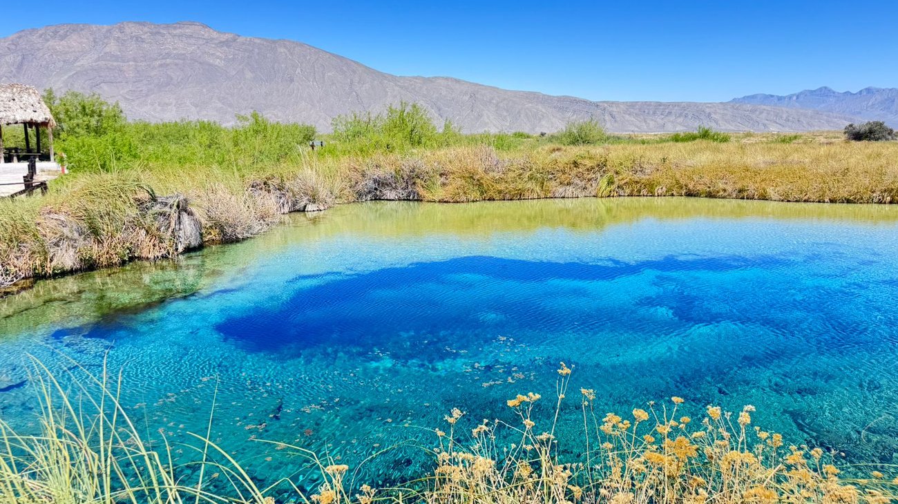 Cuahuila–Acuíferos de Cuatro Ciénegas en crisis por más de 200 concesiones (Info7)