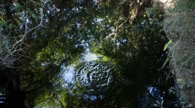 México–Pemex coloca barreras de contención tras derrame de hidrocarburo en Poza Rica; reportan falta de agua (La Jornada)