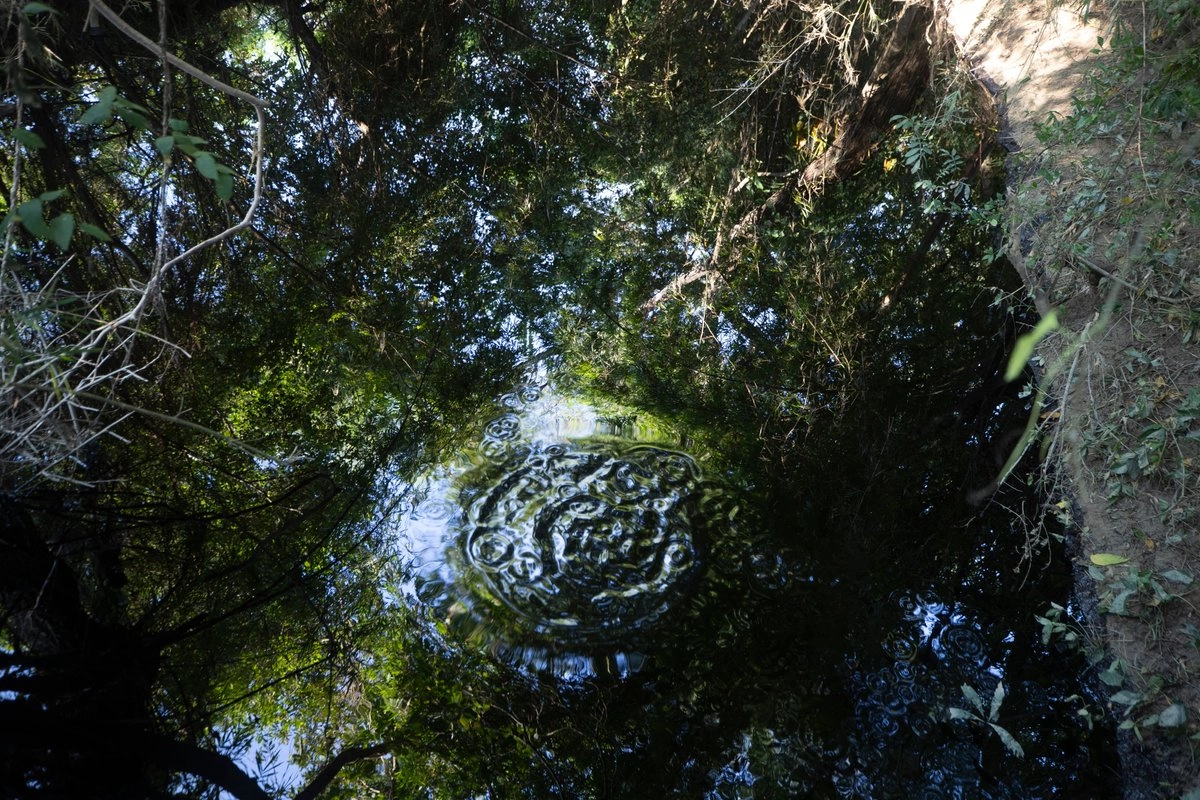 México–Pemex coloca barreras de contención tras derrame de hidrocarburo en Poza Rica; reportan falta de agua (La Jornada)