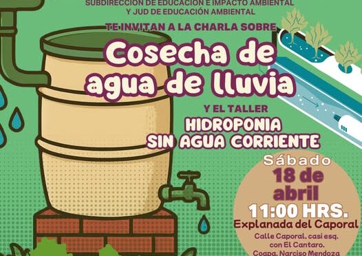 Cosecha de agua de lluvia (Alcaldía Tlalpan / Dirección de Ordenamiento Ecológico y Educación Ambiental)
