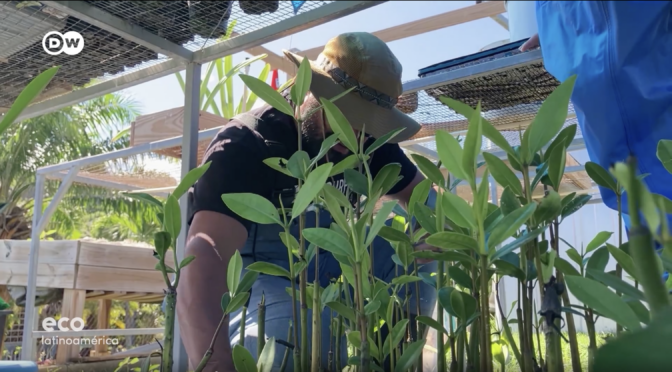 México-Guerreros del agua (DW)